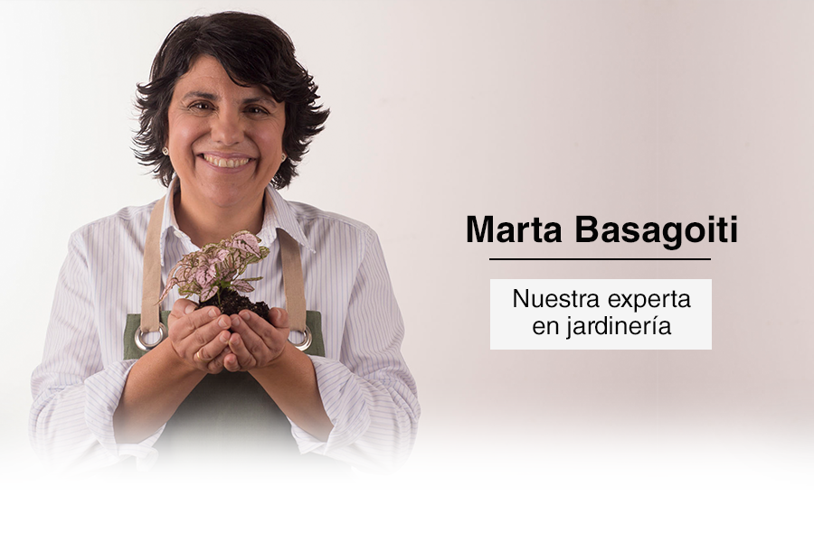 Marta Basagoiti. Nuestra experta en jardinería