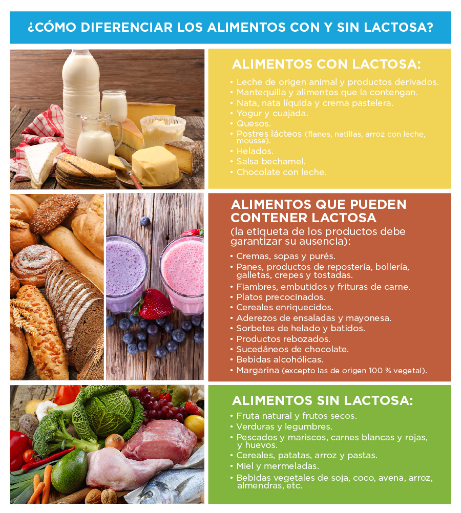 Infografía de cómo diferenciar los alimentos con y sin lactosa