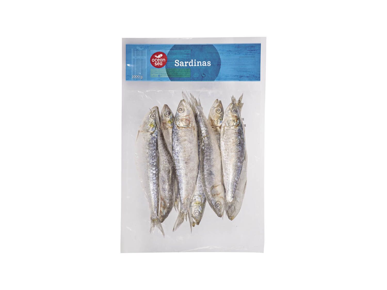 sardinas zoom 4 Moncloa