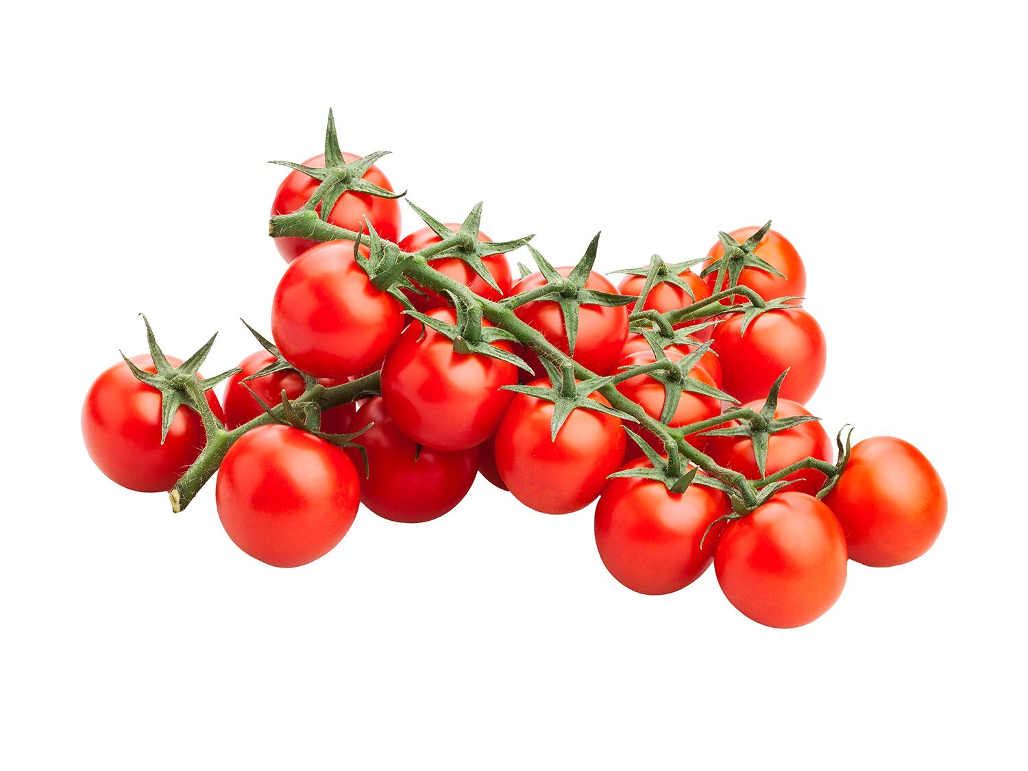 Tomate Cherry rama